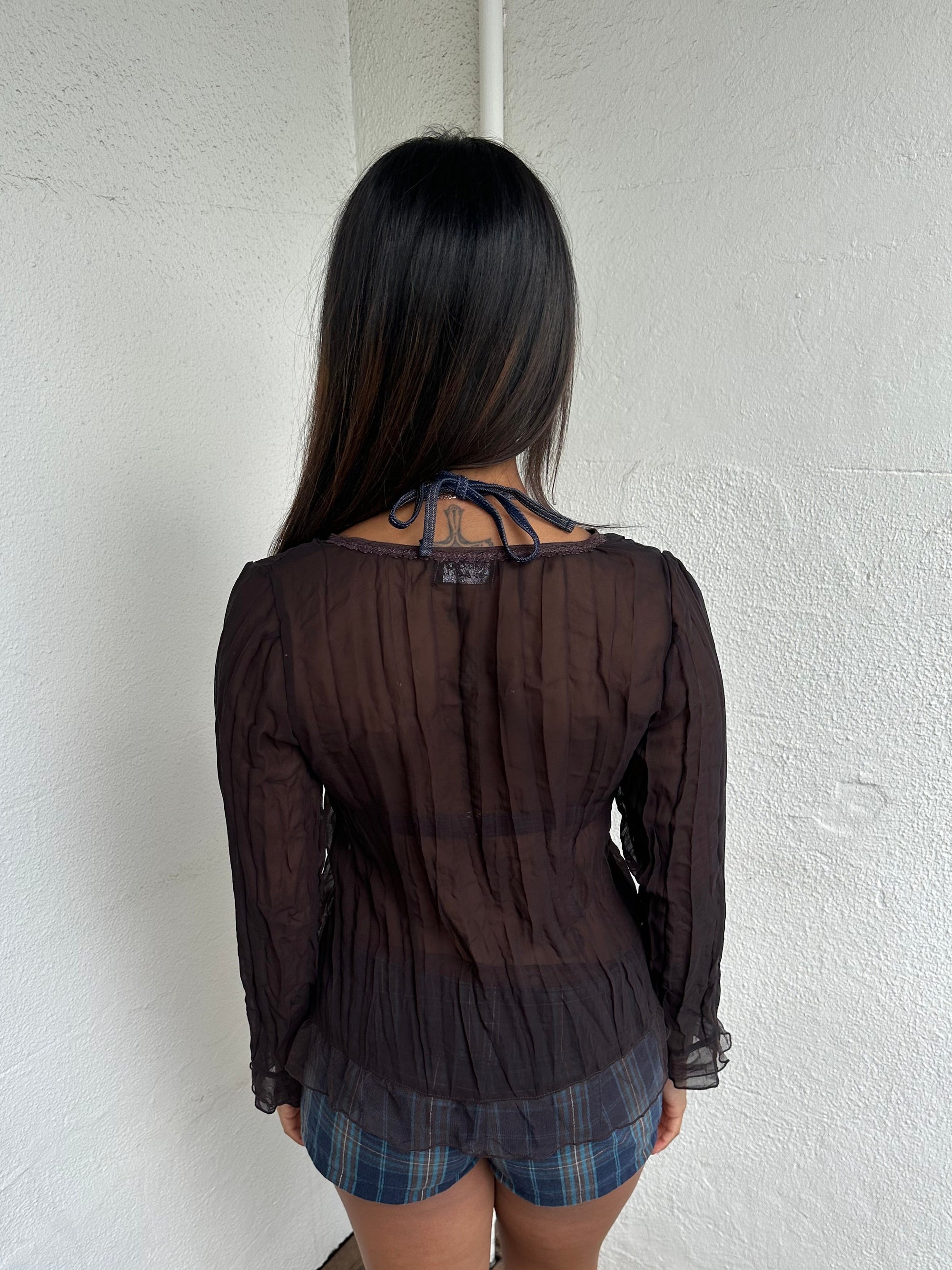 Sheer Brown Tie Front Long Sleeve Top