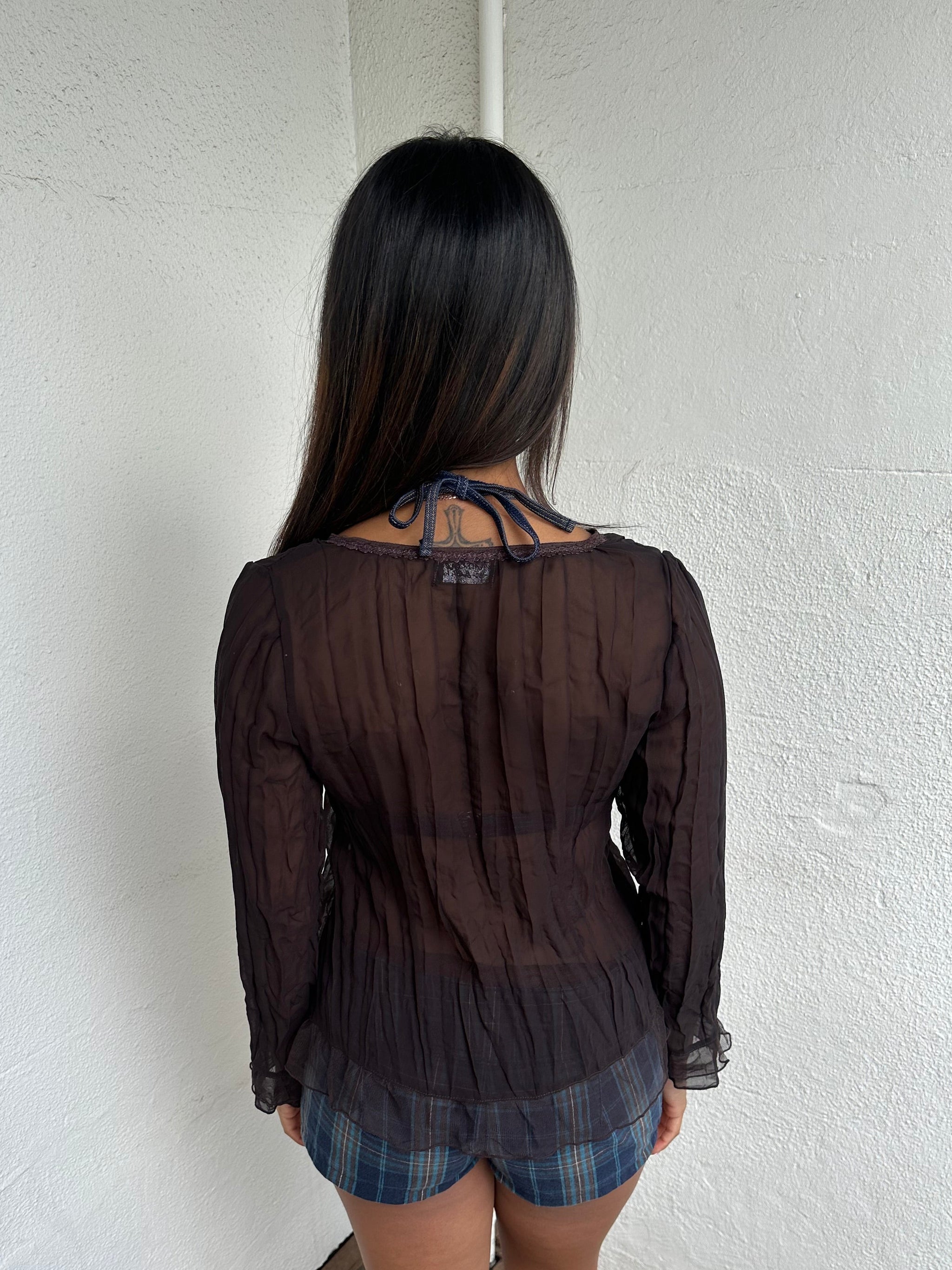 Sheer Brown Tie Front Long Sleeve Top